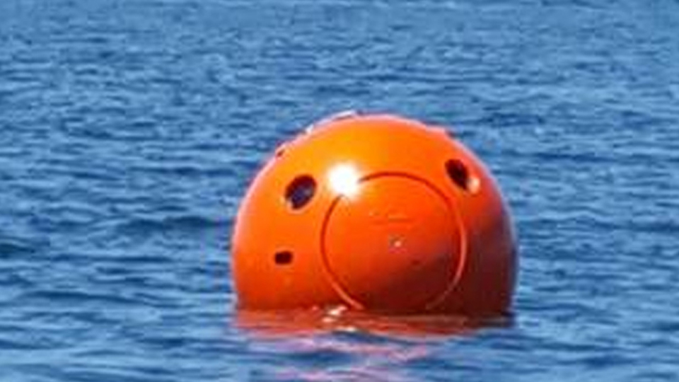 The orange round-shaped capsule in water